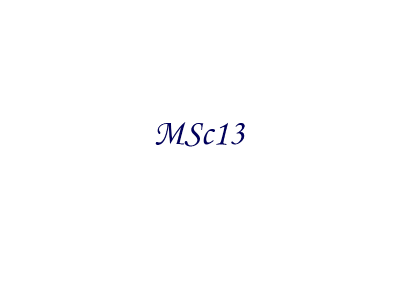 MSc13